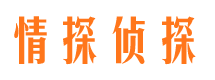 金台侦探社